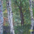 The Birches - Oil painting - drawing
