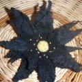 flower - Flowers - felting