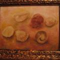 shells - Oil painting - drawing