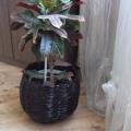 flower vase - For interior - making