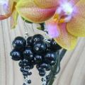 Grapes - Earrings - beadwork