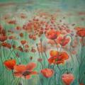 Poppies - Pictures - drawing