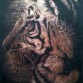 Tiger :) - Pictures - drawing