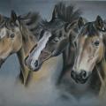 Three horses - Pictures - drawing
