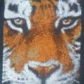 tiger - Needlework - sewing