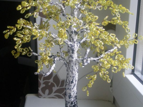 Autumn birch - Biser