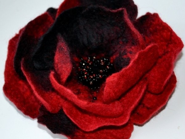 Flower;) - Flowers