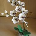 Orchideja " Edith " - Biser - beadwork