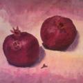 Pomegranate - Oil painting - drawing