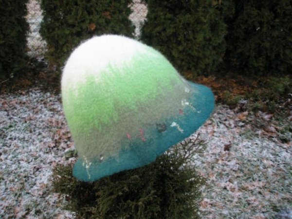 bath cap 2