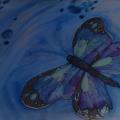 Butterfly - Serigraphy - drawing
