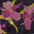 Curled orchids, silk country - Serigraphy - drawing