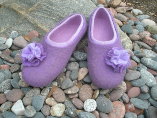 violetinis gvazdikas 2
