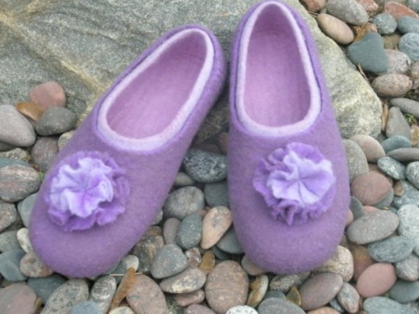violetinis gvazdikas 3