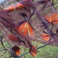 Country " Ring Ring " - Wraps & cloaks - felting