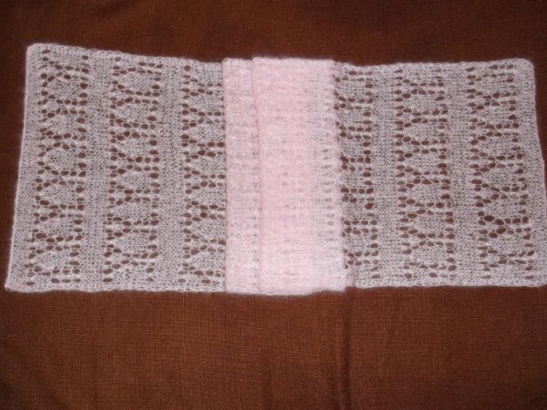 ružavas šalis(8) 1