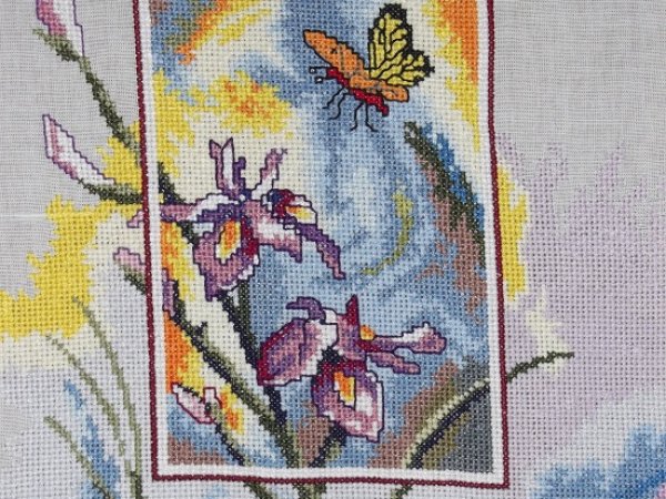 " Butterfly fly " 2