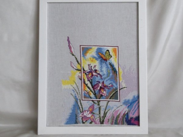" Butterfly fly " 3