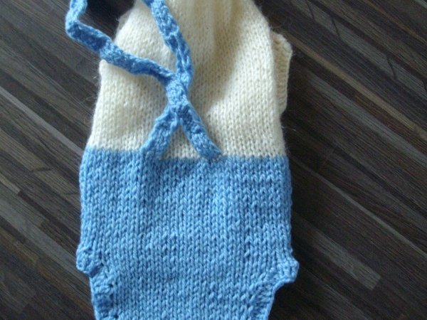 Rūbas augintiniui Nr.2 3