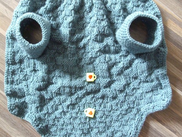 Green sweater for puppy dog No.6 - For pets