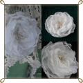 Sage " white flowers & quot ;. - Accessory - sewing